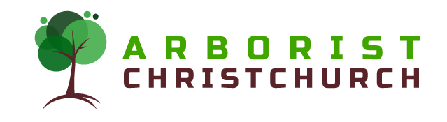 Arborist Christchurch Tree Services