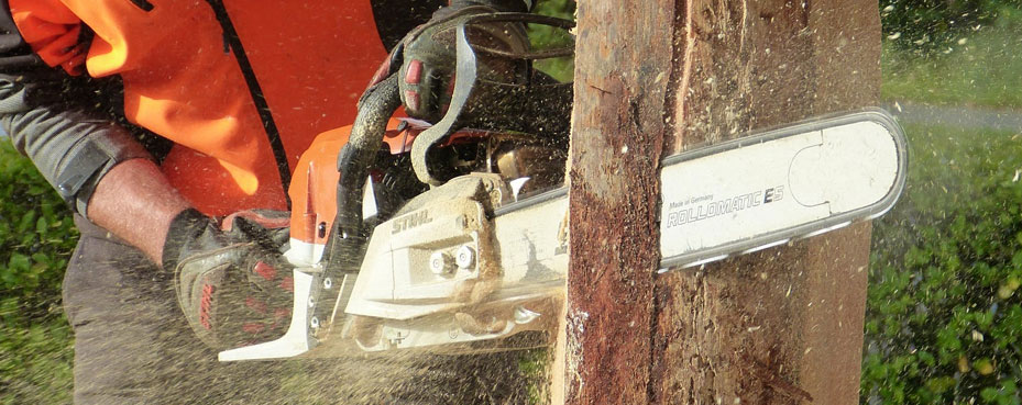 Christchurch tree cutting down service in nz